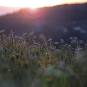 九九这里只有精品
